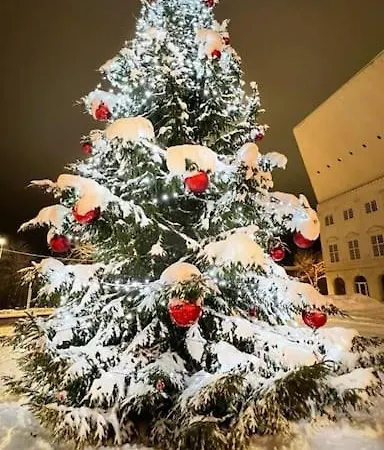 Comfort In Center Apartman Narva