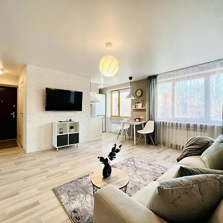 Comfort In Center Narva