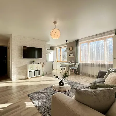 Appartement Comfort In Center *