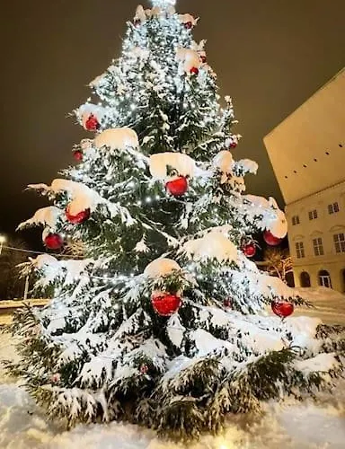 Comfort In Center Apartman Narva