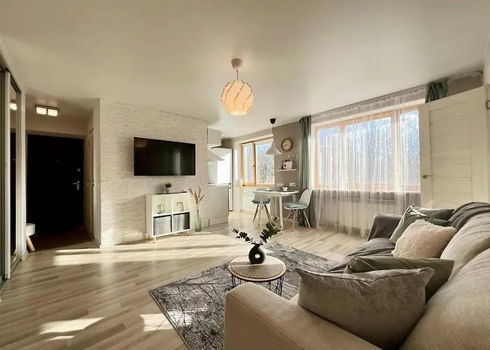 Apartamento Comfort In Center *